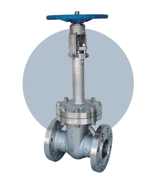 Cryogenic Valve