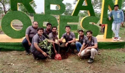 Tree Plantation
