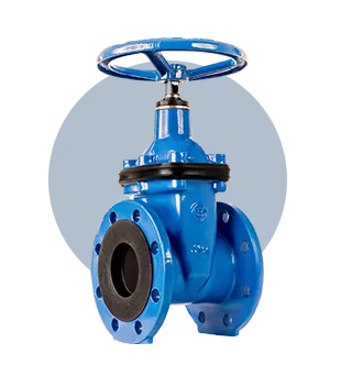 Gate Valve