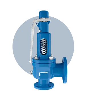 Safety Relief Valve